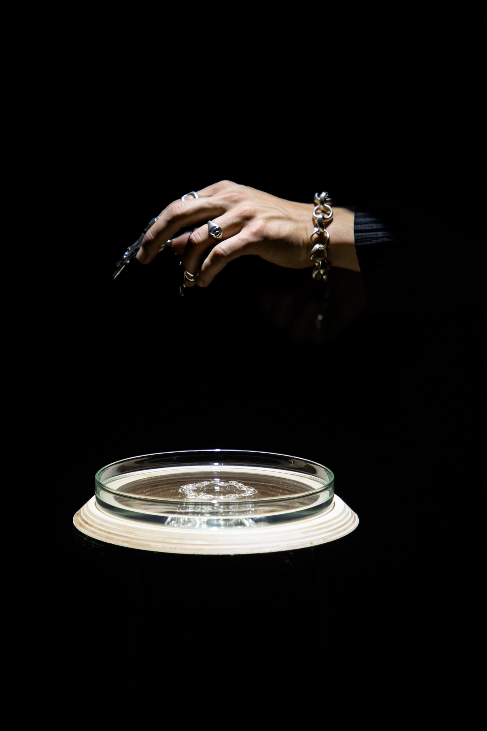 Octi presents ‘Ammonite’ SS27, exploring water, fossils and the passage of time